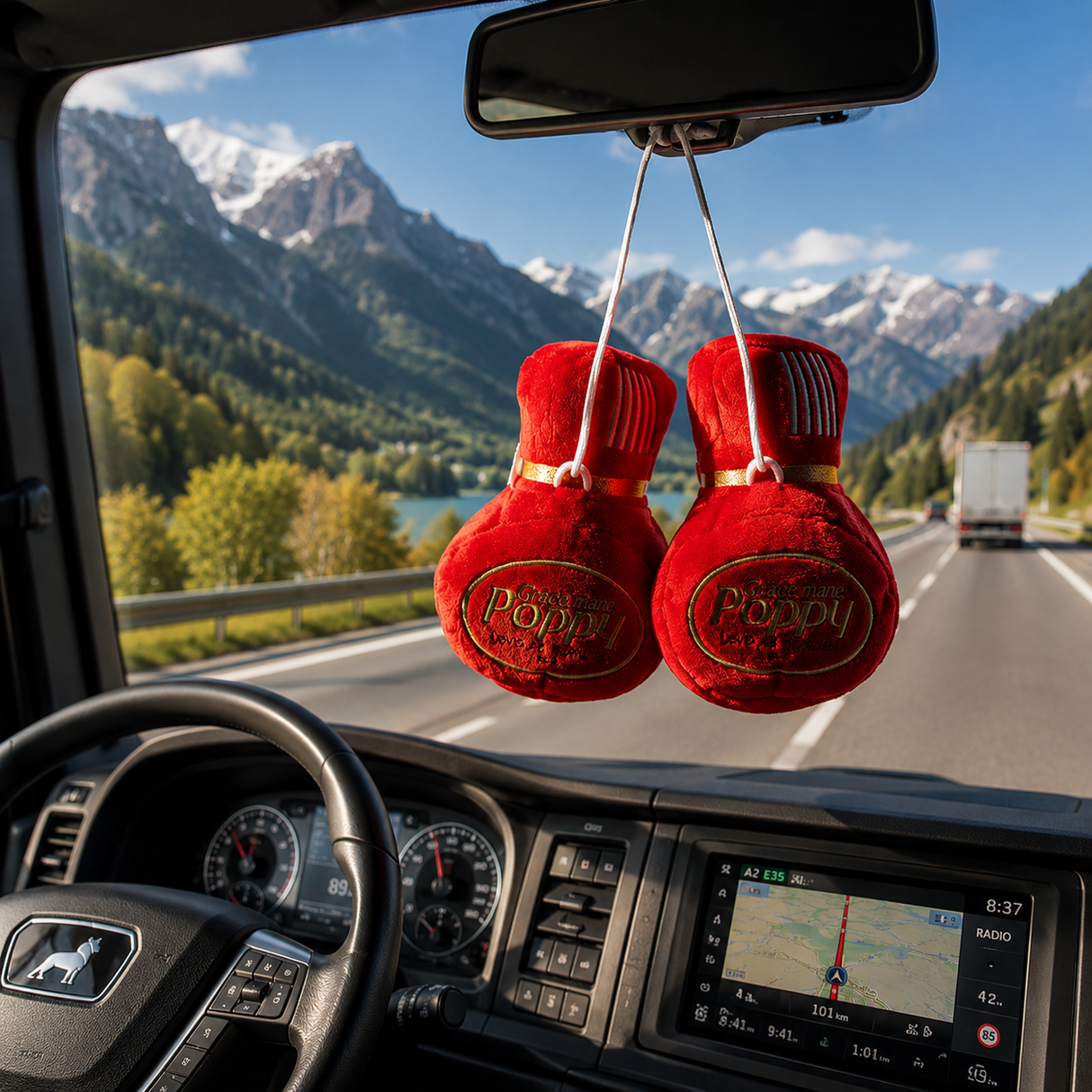 Car air freshener plush 35x30cm 2 pcs 200g