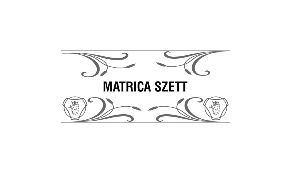 Matricaszett 4db-os oldalablakra Scania-s