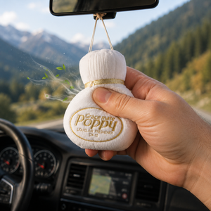 Car air freshener plush 35x30cm 2 pcs 200g