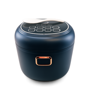Electric Rice Cooker for Car, 12-24V / 220V, 2L