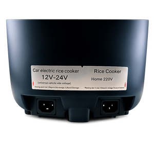 Electric Rice Cooker for Car, 12-24V / 220V, 2L