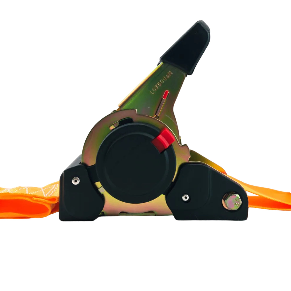 Automata spanifer kampóval