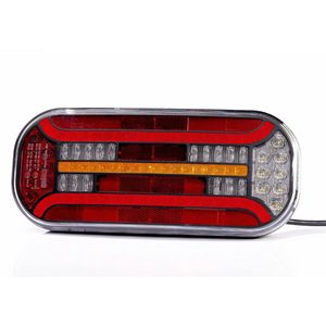 Lamp LED 6 Functional Dynamic Index Prismal 12-36V
