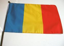 Zászló kicsi nyeles Románia (30x45cm)