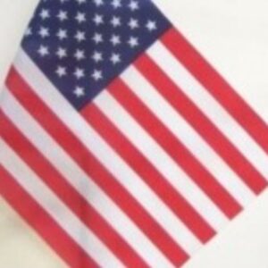 Zászló kicsi nyeles USA (30x45cm)